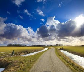 Liquiditeit en continuïteit op de lange termijn in de melkveehouderij