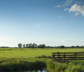 Met korting kruidenrijk grasland inzaaien