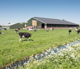 Niet-productieve investeringen op landbouwbedrijven