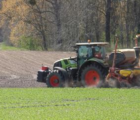 Stikstofnorm voor groenbemesters